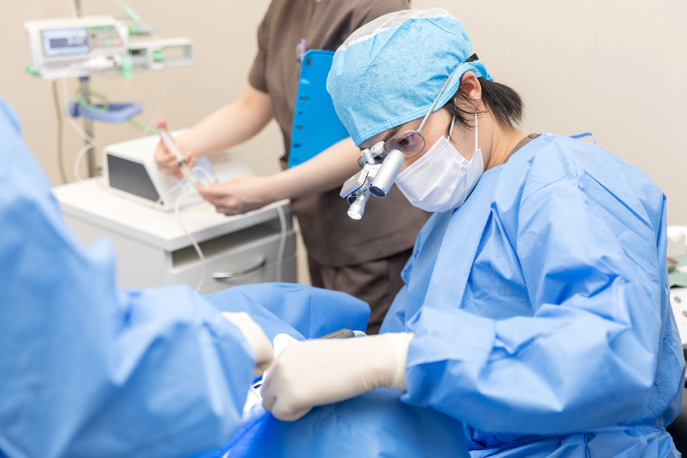 インプラント治療に精通した歯科医師