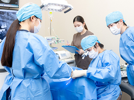 専門医チーム医療