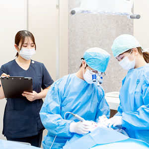 専門医チーム医療